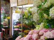「横浜花日和」　（神奈川県横浜市神奈川区）の花屋店舗写真3
